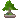 :bonsai: :bonsai: