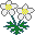 :1flwrs: :1flwrs: